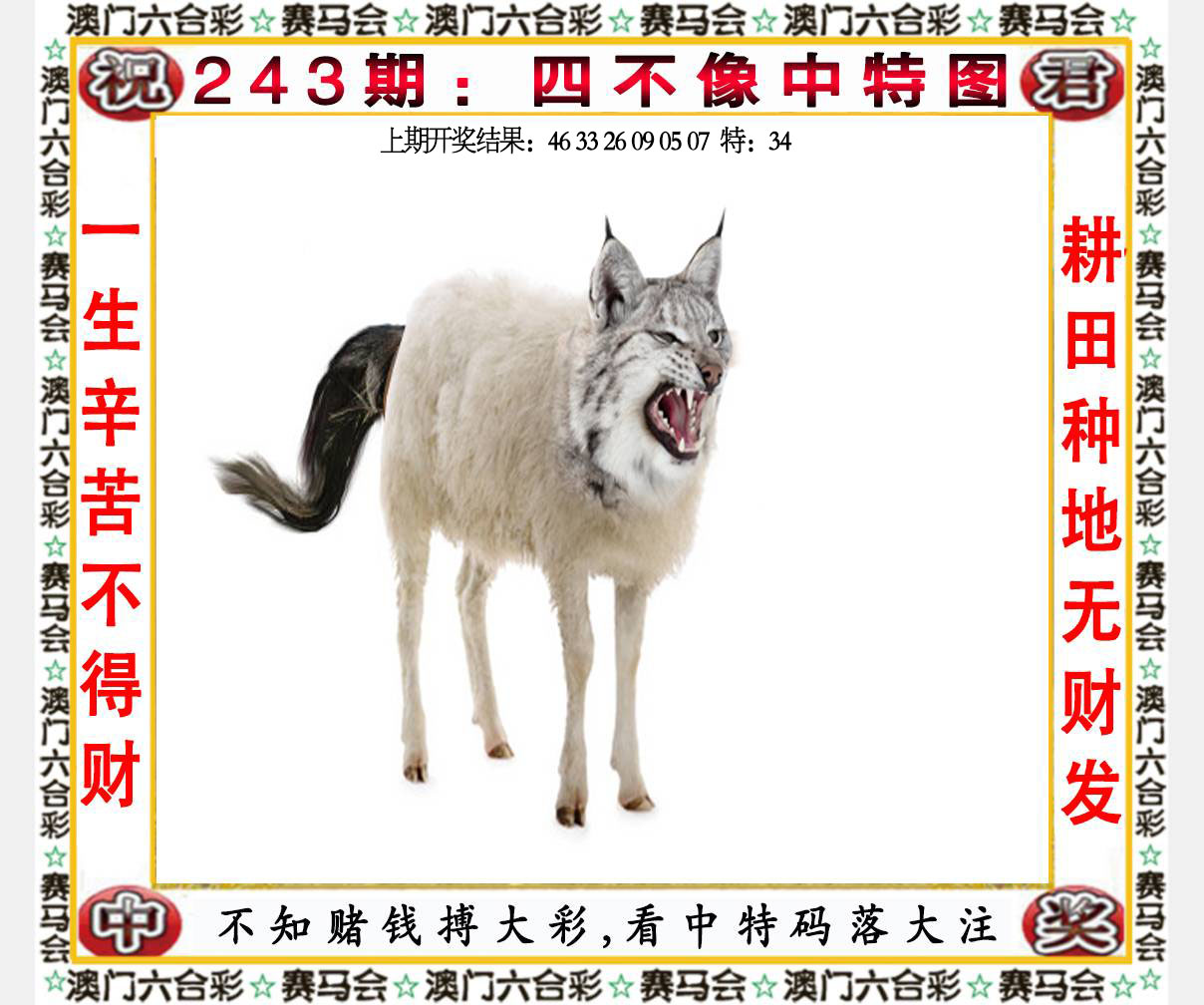 六合宝典手机站