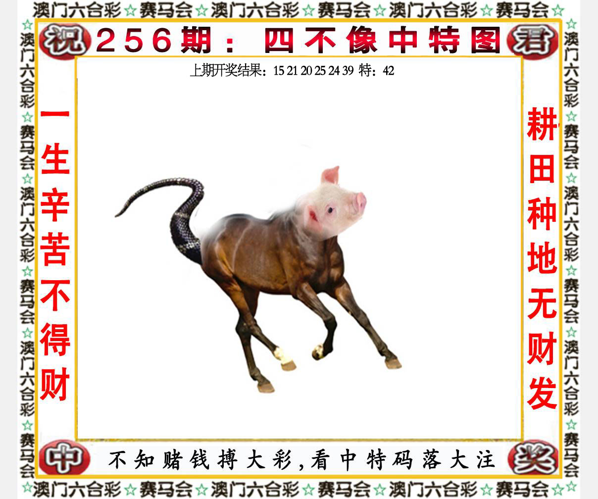 六合宝典手机站