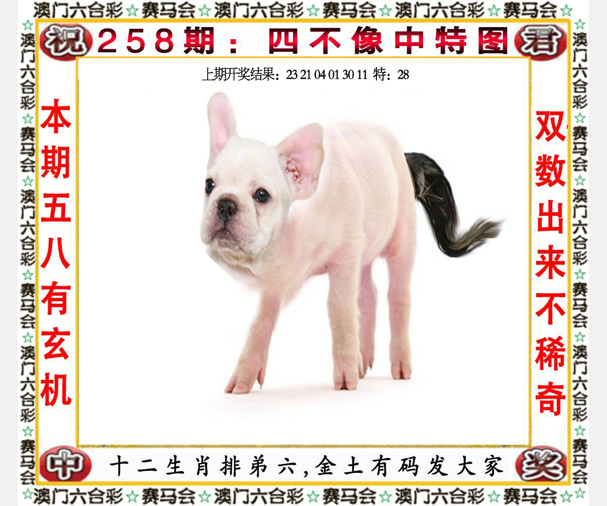 六合宝典手机站