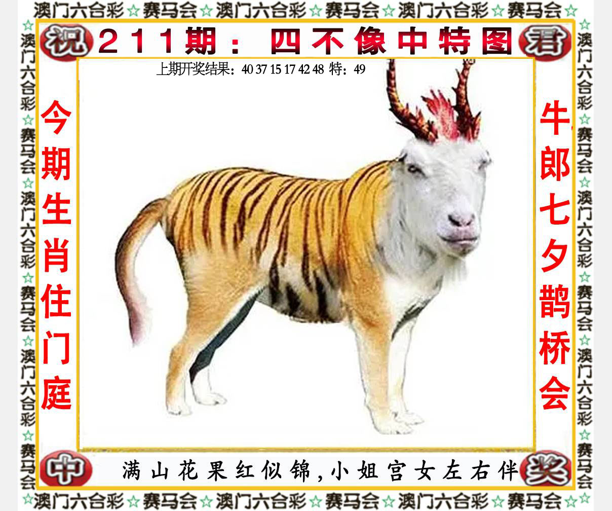 六合宝典手机站