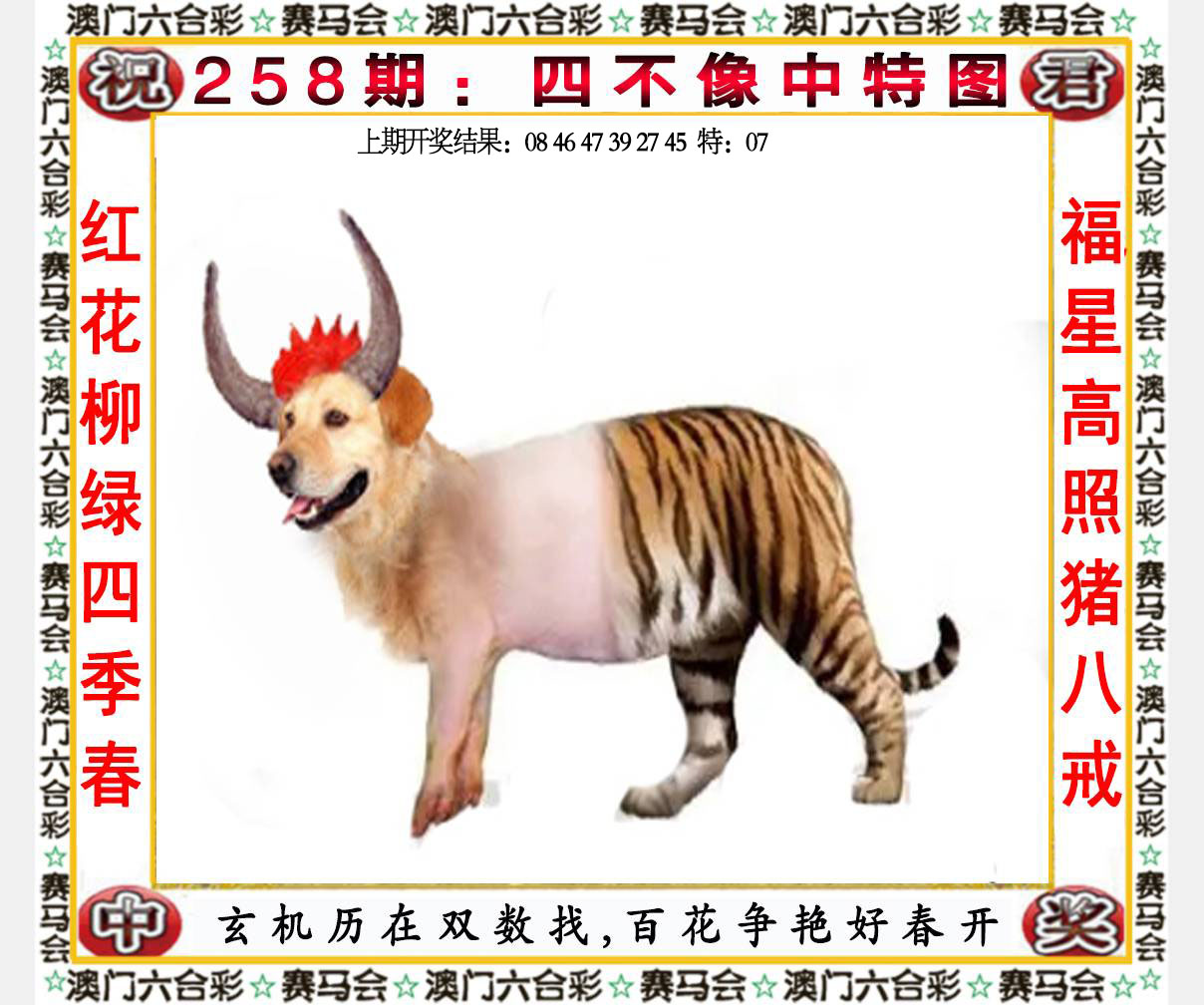 六合宝典手机站