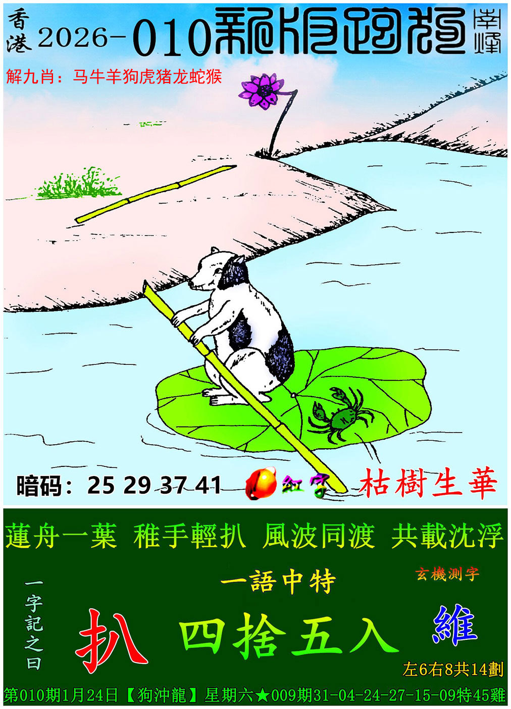 如遇图片未显示，请开奖日六点后查看