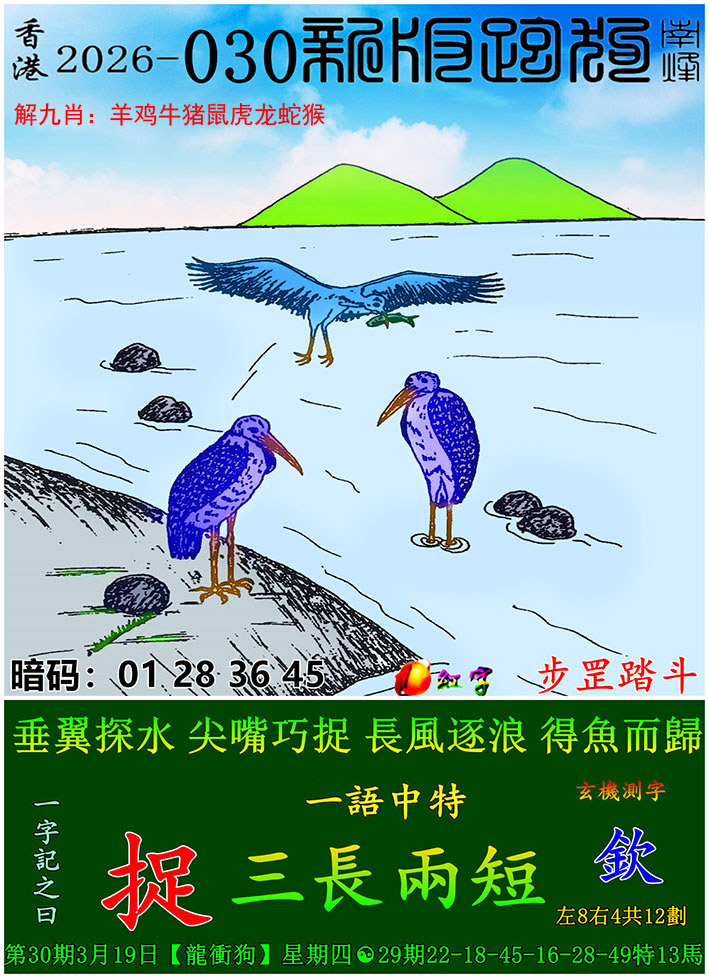 如遇图片未显示，请开奖日六点后查看