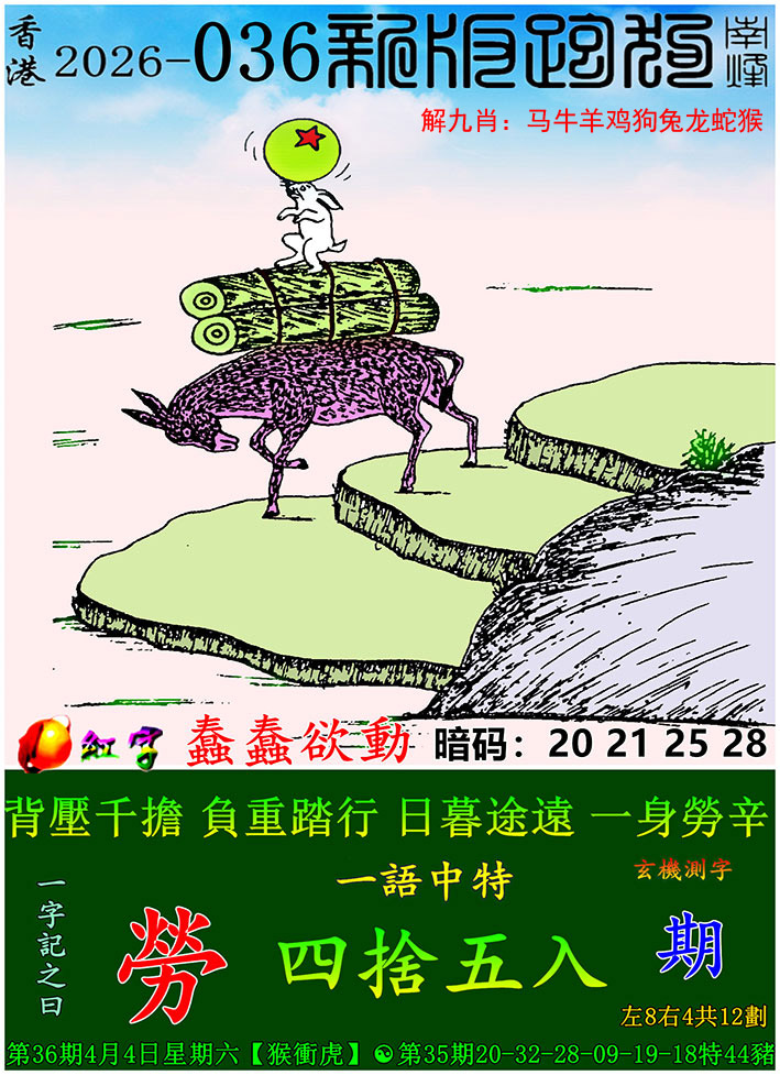 如遇图片未显示，请开奖日六点后查看